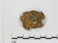 登錄號:F0017217藏品圖，第4張