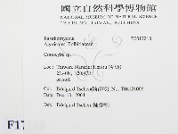 登錄號:F0017218藏品圖，第2張