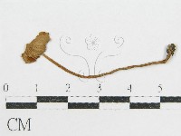 登錄號:F0017218藏品圖，第3張