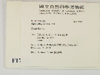 登錄號:F0017219藏品圖，第2張