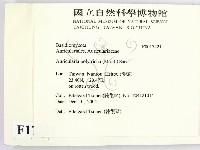 毛木耳藏品圖，第2張