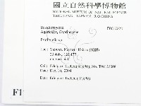 登錄號:F0017222藏品圖，第2張