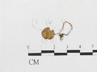 登錄號:F0017222藏品圖，第1張