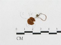 登錄號:F0017222藏品圖，第3張