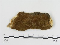 登錄號:F0017225藏品圖，第1張