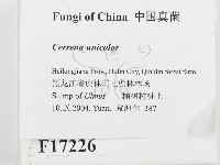登錄號:F0017226藏品圖，第2張