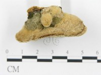 登錄號:F0017226藏品圖，第5張