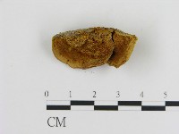 登錄號:F0017227藏品圖，第1張