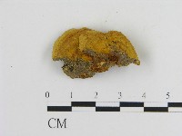 登錄號:F0017227藏品圖，第3張