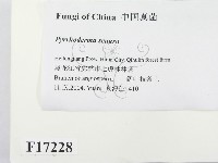 登錄號:F0017228藏品圖，第2張