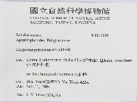登錄號:F0017229藏品圖，第2張