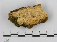 登錄號:F0017229藏品圖，第1張