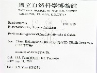 登錄號:F0017230藏品圖，第2張