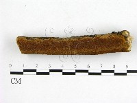 登錄號:F0017230藏品圖，第5張