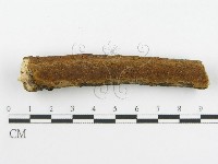 登錄號:F0017230藏品圖，第6張