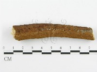 登錄號:F0017230藏品圖，第7張