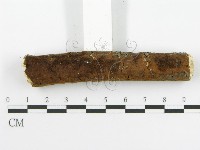 登錄號:F0017230藏品圖，第1張