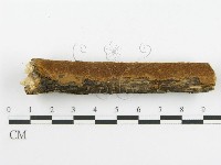 登錄號:F0017230藏品圖，第9張