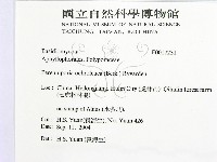 登錄號:F0017231藏品圖，第2張