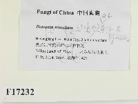 登錄號:F0017232藏品圖，第2張