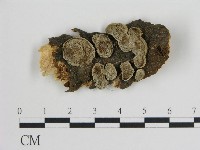 登錄號:F0017232藏品圖，第1張