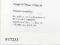 登錄號:F0017233藏品圖，第2張