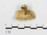 登錄號:F0017233藏品圖，第1張