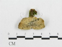 登錄號:F0017233藏品圖，第4張