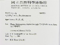 登錄號:F0017234藏品圖，第2張