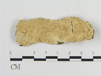 登錄號:F0017234藏品圖，第1張
