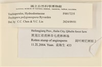 登錄號:F0017235藏品圖，第3張