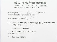 登錄號:F0017236藏品圖，第2張