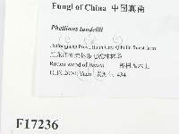 登錄號:F0017236藏品圖，第3張