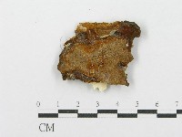 登錄號:F0017236藏品圖，第1張
