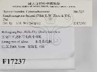 登錄號:F0017237藏品圖，第2張
