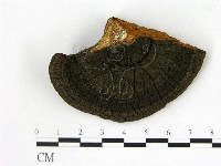 登錄號:F0017237藏品圖，第4張
