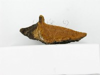 登錄號:F0017237藏品圖，第7張