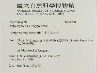登錄號:F0017238藏品圖，第2張
