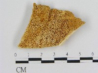 登錄號:F0017238藏品圖，第1張