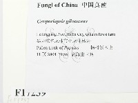 登錄號:F0017239藏品圖，第2張