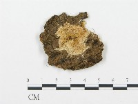 登錄號:F0017239藏品圖，第1張