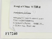 登錄號:F0017240藏品圖，第2張