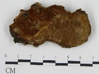 登錄號:F0017240藏品圖，第1張