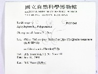登錄號:F0017241藏品圖，第2張