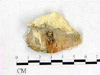 登錄號:F0017241藏品圖，第1張