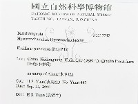 登錄號:F0017242藏品圖，第3張