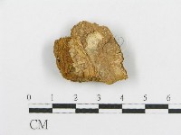登錄號:F0017242藏品圖，第1張