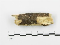 登錄號:F0017244藏品圖，第1張
