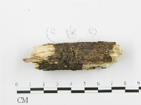 登錄號:F0017244藏品圖，第6張