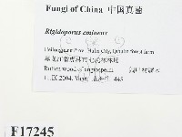 登錄號:F0017245藏品圖，第2張